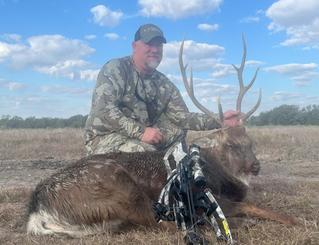 sika deer harvest with bow at C5 Whitetails Lodge