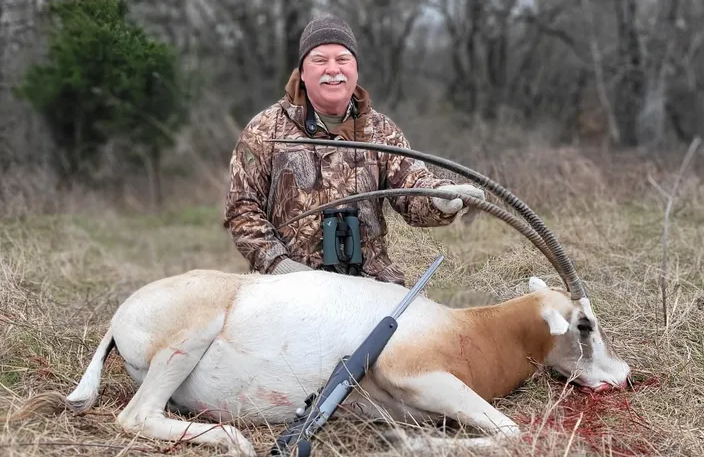 Scimitar Horned Oryx Hunts in Texas